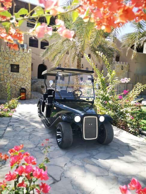 Al Aqur Village Cultural Cart Tour - Key Points