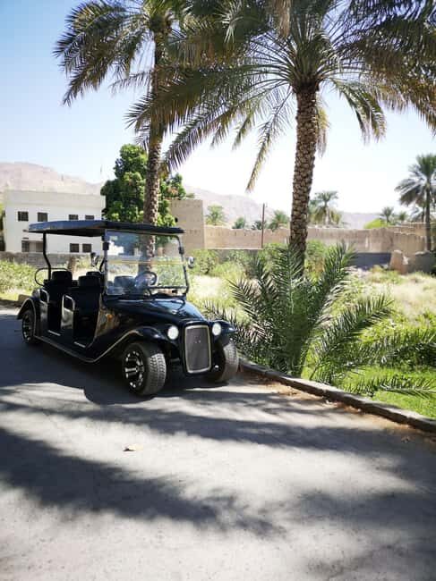 Al Aqur Village Cultural Cart Tour - What to Expect from the Tour