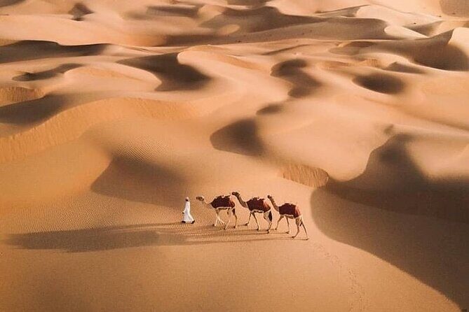 Al Awir Morning Desert Safari Dubai - Practical Tips for Travelers