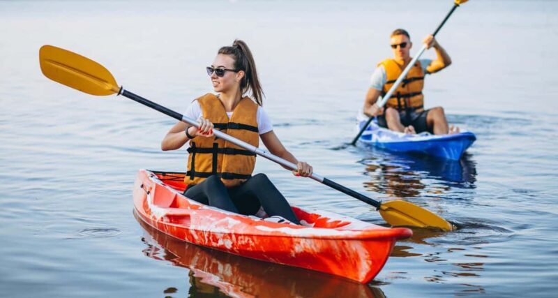Al Khor: Mangrove Forest Kayaking Tour - Key Points