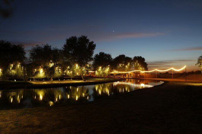 Al Marmoom Oasis Experience with Bedouin Dinner - Key Points