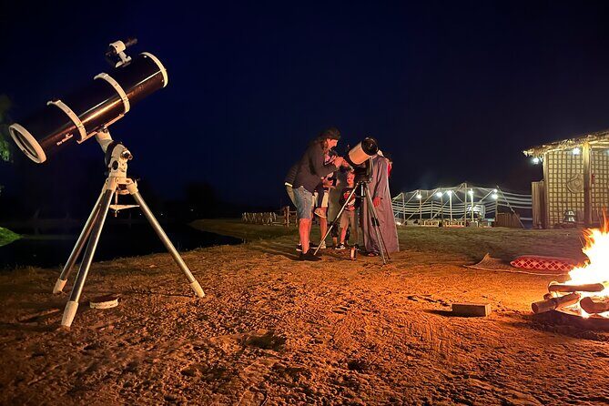Al Marmoom Oasis Experience with Bedouin Dinner - Who Is This Tour Best Suited For?