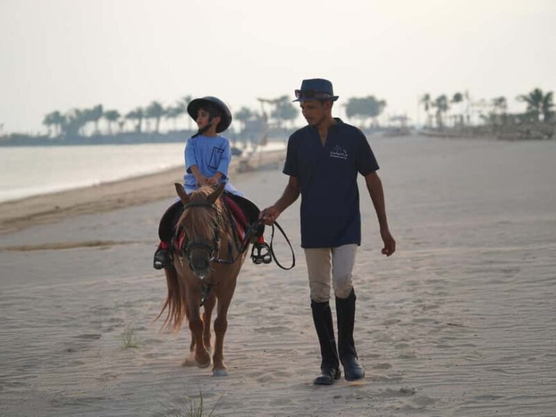 Al Mirfa: Forest Horseback Riding Adventure - The Value of the Experience