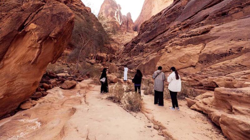 Al Ula: Dadan and Jabal Ikmah Tombs Guided Tour - FAQ
