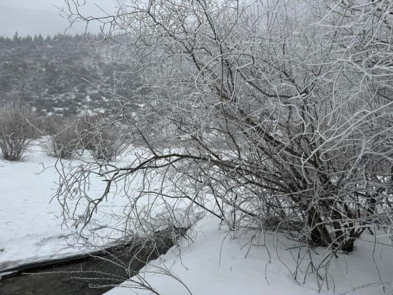 Ala Archa National Park & Chunkurchak Valley Day Tour - The Sum Up