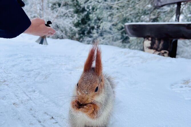 Ala Archa Nature Park and City Tour with Kyrgyz Lunch - Is This Tour Worth It?