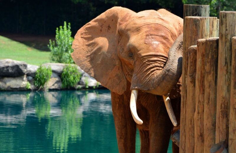 alabama-3-day-montgomery-city-multi-attraction-pass