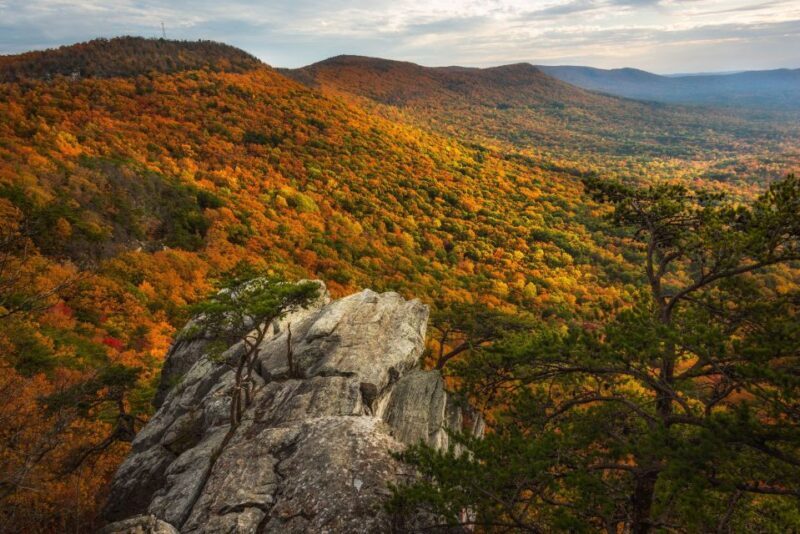 Alabama: Anniston and East Central Multi-Attraction Pass - FAQs  
