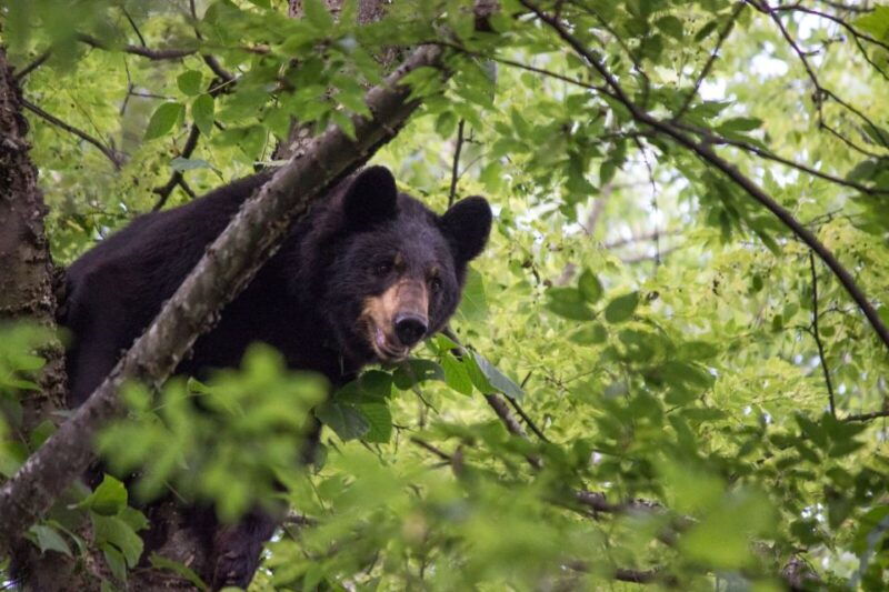 alabama-birmingham-area-family-fun-multi-attraction-pass