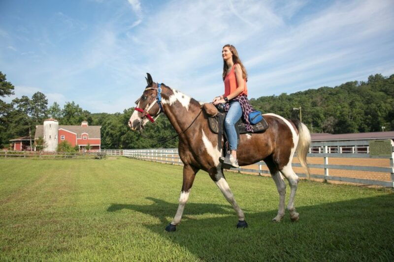 alabama-birmingham-area-multi-attraction-pass