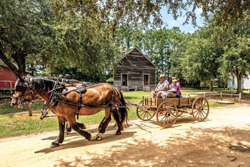 Alabama: Dothan-Eufaula Area Multi-Attraction Pass - Final Thoughts  