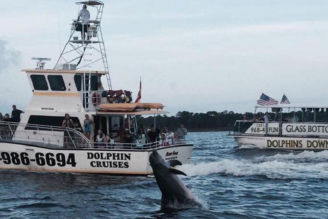 alabama-gulf-coast-dolphin-cruise