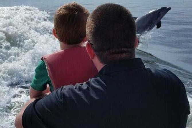 alabama-gulf-coast-dolphin-cruise