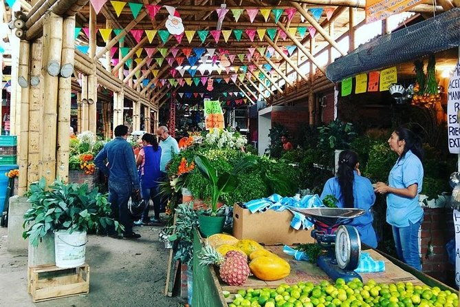 alameda-market-food-tour