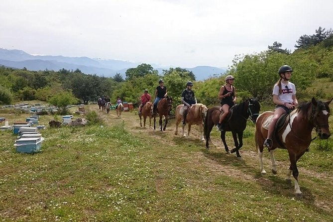 alanya-3-hour-horse-back-riding