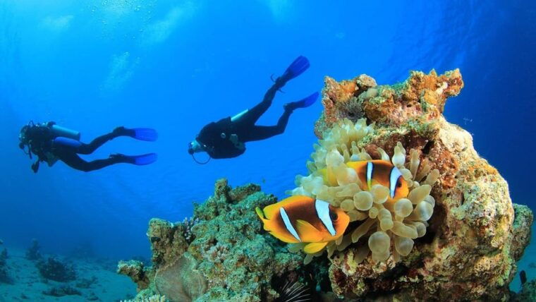 alanya-discover-scuba-diving-scuba-tour-for-beginners