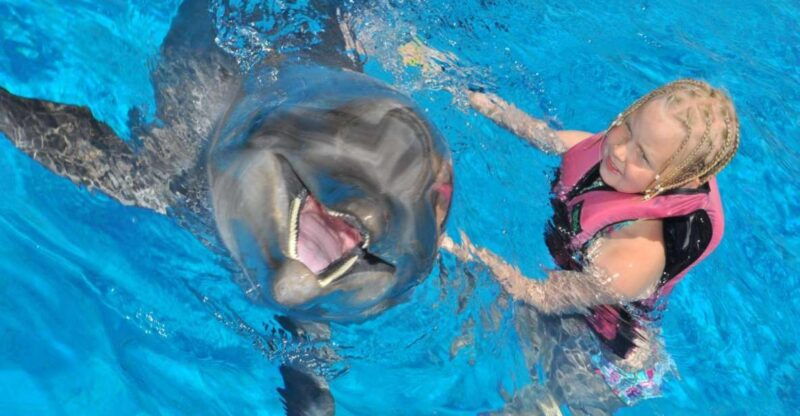 alanya-dolphin-and-seal-show-ticket-with-hotel-transfers