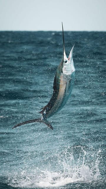 alanya-fishing-tour-with-equipment-and-lunch