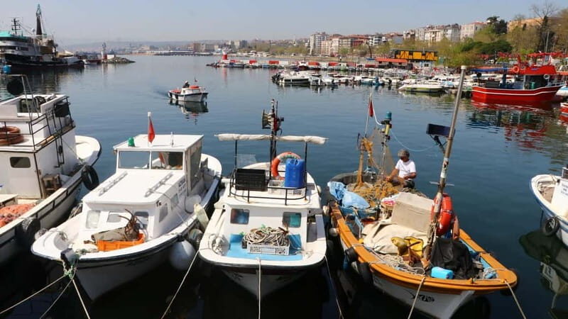 Alanya: Fishing Tour with Lunch and Hotel Transfers - Final Thoughts: Who Will Love This Tour?