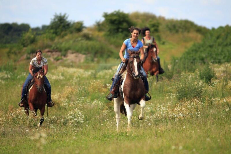alanya-horse-riding-adventure