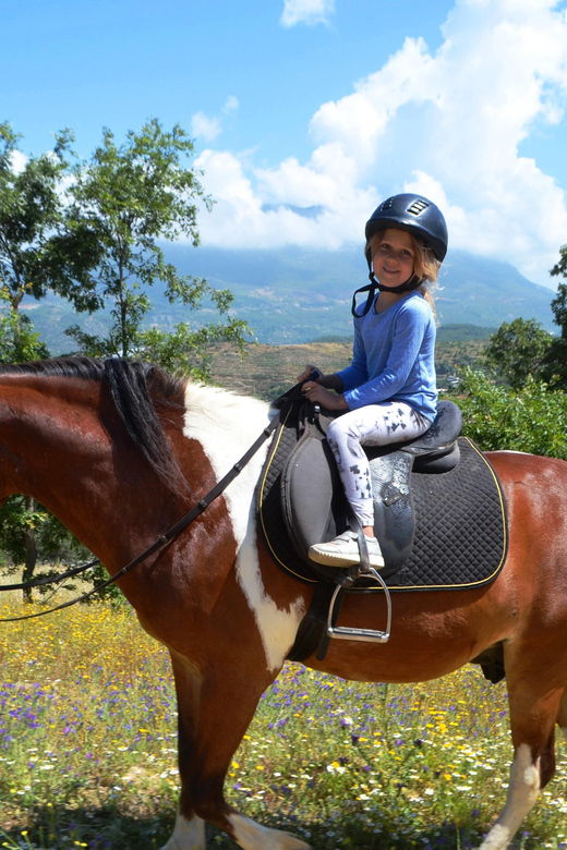 alanya-horse-riding-club-transfer-service
