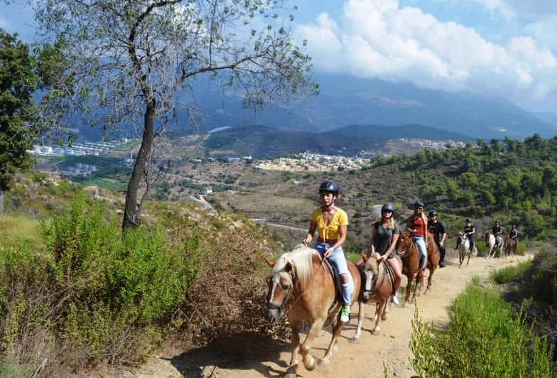 alanya-horse-riding-club-transfer-service