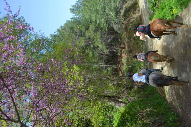 alanya-horse-riding-club-transfer-service