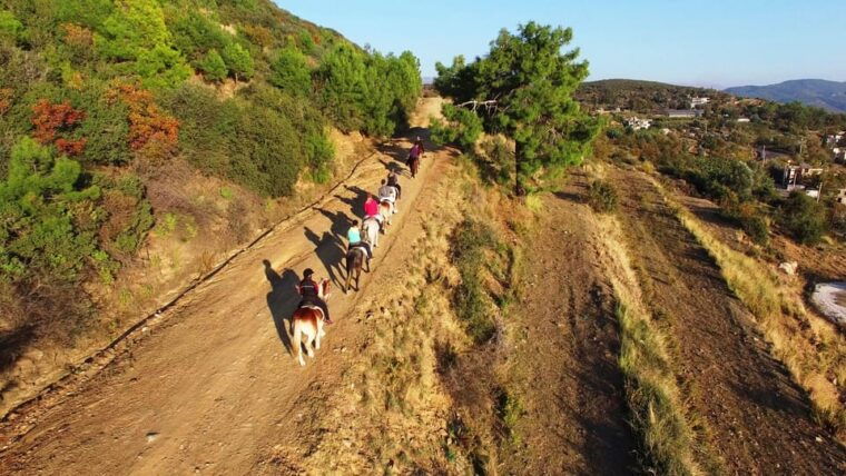 alanya-horse-riding-club-transfer-service