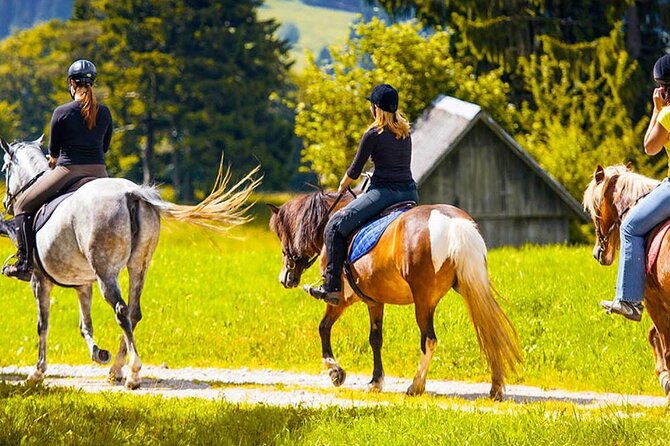 alanya-horse-riding-experience-with-free-hotel-transfer-2