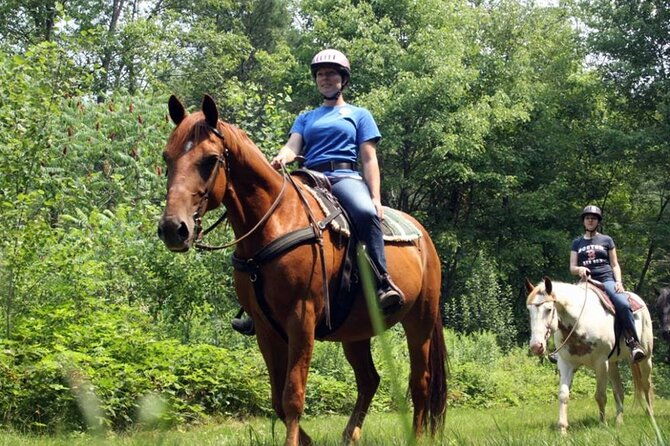 alanya-horse-riding-experience-with-free-hotel-transfer-3