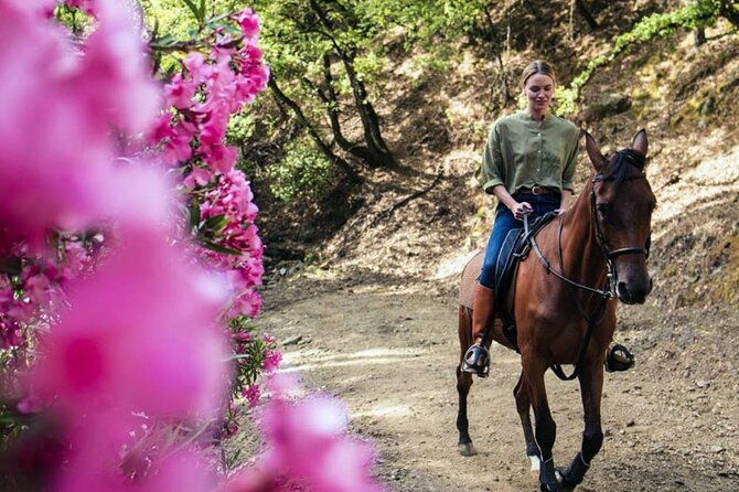 alanya-horse-riding-experience-with-free-hotel-transfer-4