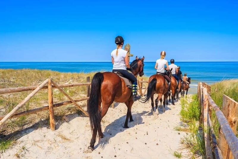 Alanya: Horse Riding Tour with Hotel Transfers - The Itinerary Breakdown: What Will You Actually Do?