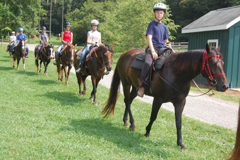 Alanya: Horse Riding Tour with Hotel Transfers - FAQ