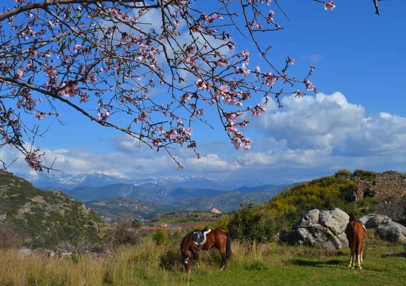 Alanya: Horseback Ride Through Nature near Syedra Ruins - What To Expect from the Horseback Ride Near Syedra Ruins