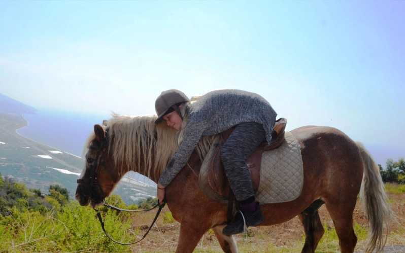 alanya-private-horse-safari