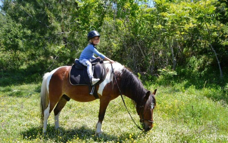 alanya-private-horse-safari