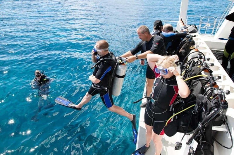 Alanya: Scuba Diving Adventure for Beginners & Professionals - What to Expect from the Alanya Scuba Tour