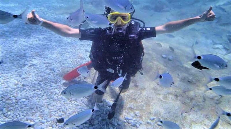 Alanya: Scuba Diving Adventure for Beginners & Professionals - Practical Tips for Your Trip