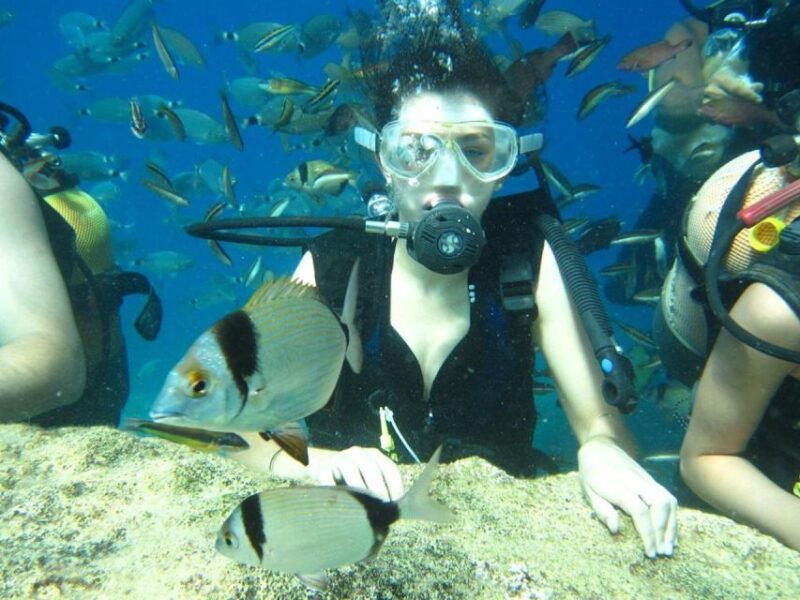 alanya-scuba-diving-experience-with-lunch