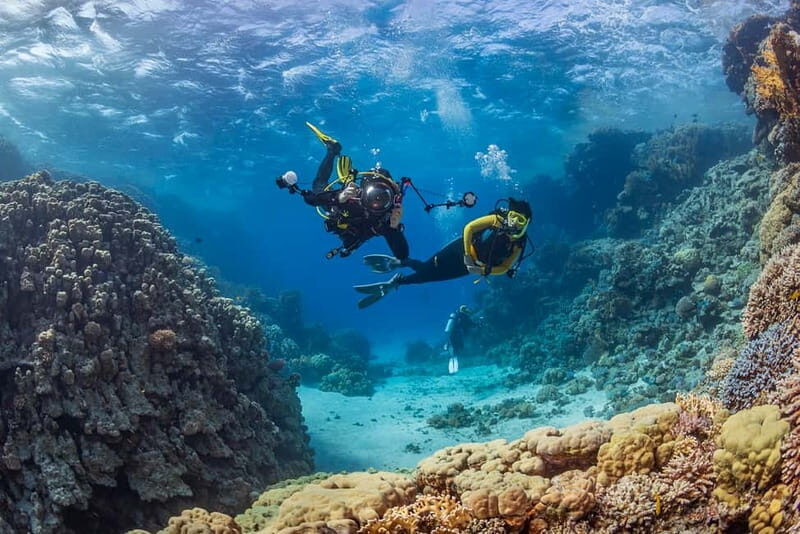 Alanya: Scuba Diving Tour with Lunch and Hotel Transfers - Why This Tour Stands Out