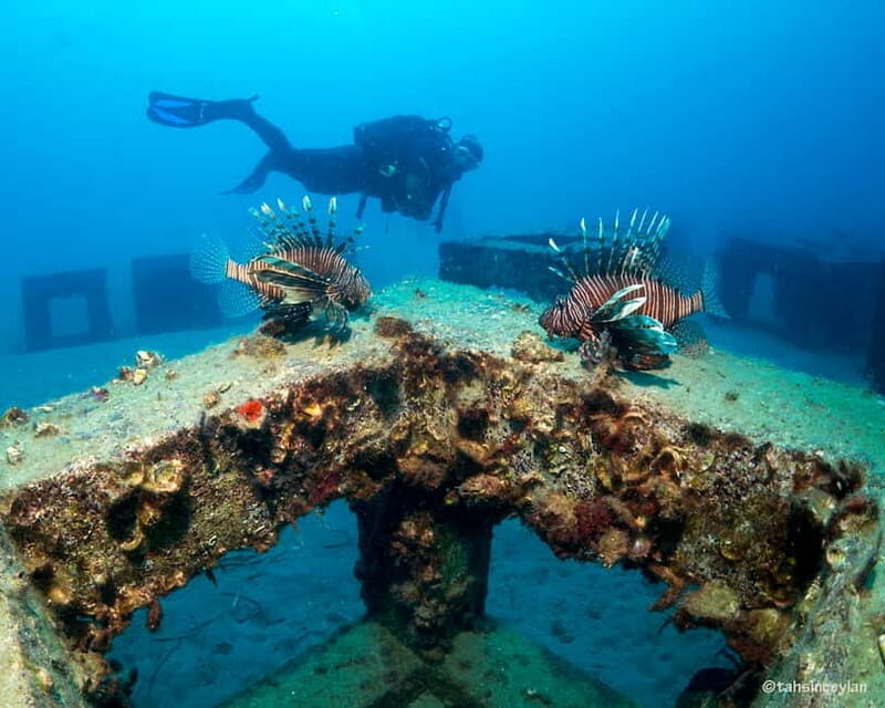 Alanya: Scuba Diving Tour with Lunch and Hotel Transfers - Frequently Asked Questions