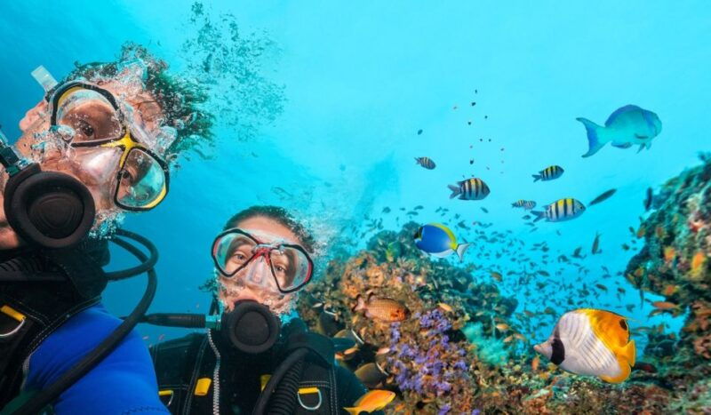 alanya-scuba-diving-tour-with-lunch