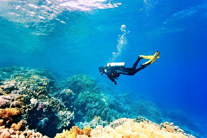 Alanya Scuba Diving with Hotel Transfer incl. Lunch - An In-Depth Look at the Tour