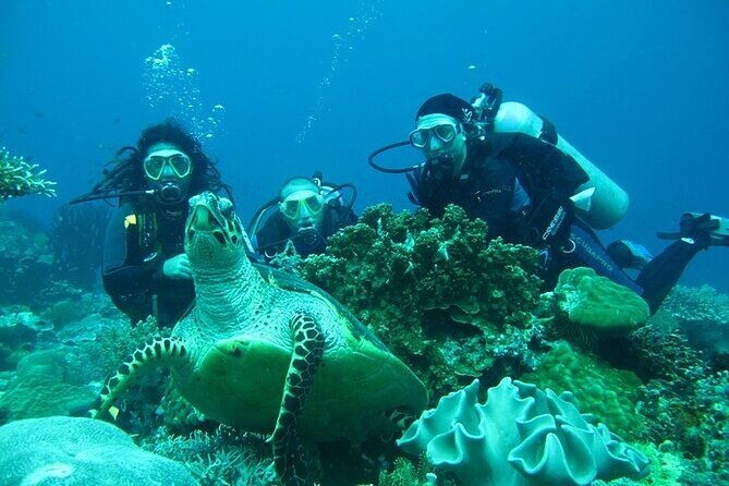alanya-scuba-diving-with-lunch-and-transfer