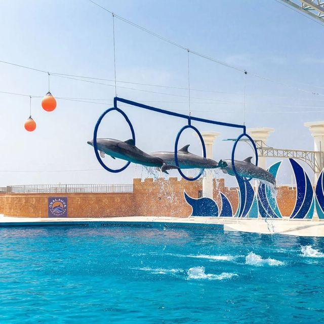 alanya-sealanya-dolphinpark-dolphin-show-tour
