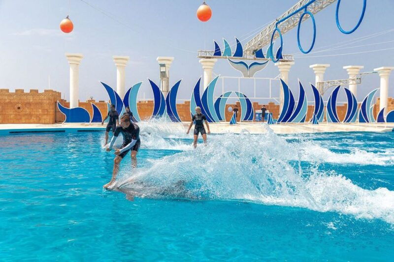 alanya-sealanya-dolphinpark-dolphin-show-tour