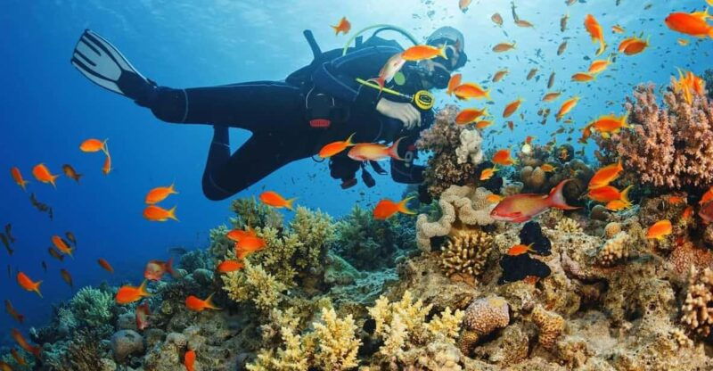 alanyascuba-diving-boat-trip-with-lunch-and-transfer