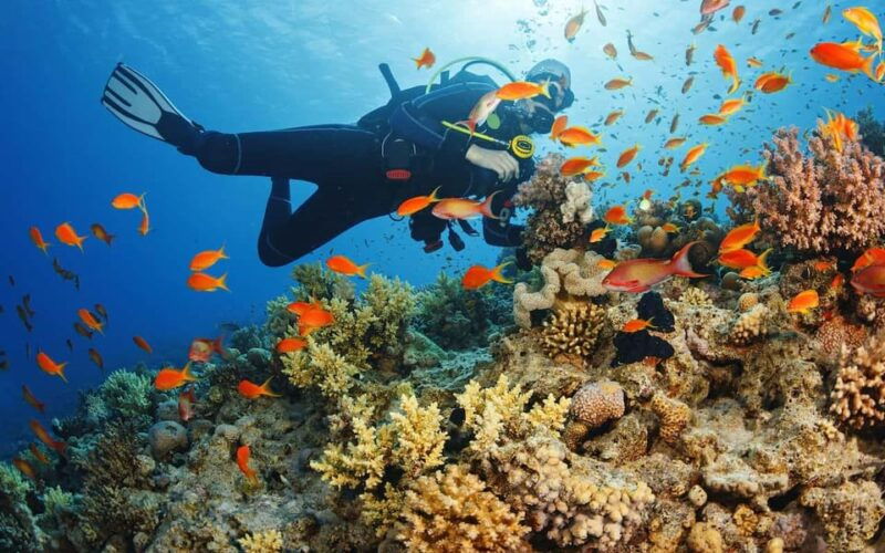 alanyascuba-diving-boat-trip-with-lunch-and-transfer