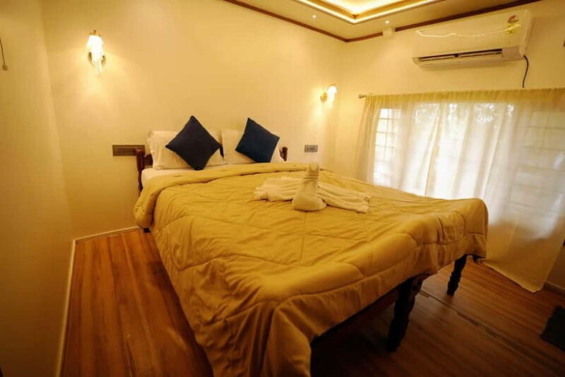 Alappuzha: Private Backwater Cruising & Walking in Alleppey - Final Thoughts