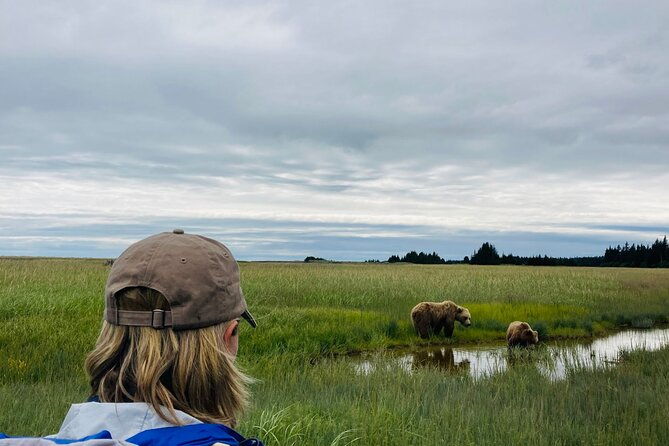 alaska-bear-viewing-adventure-from-seward